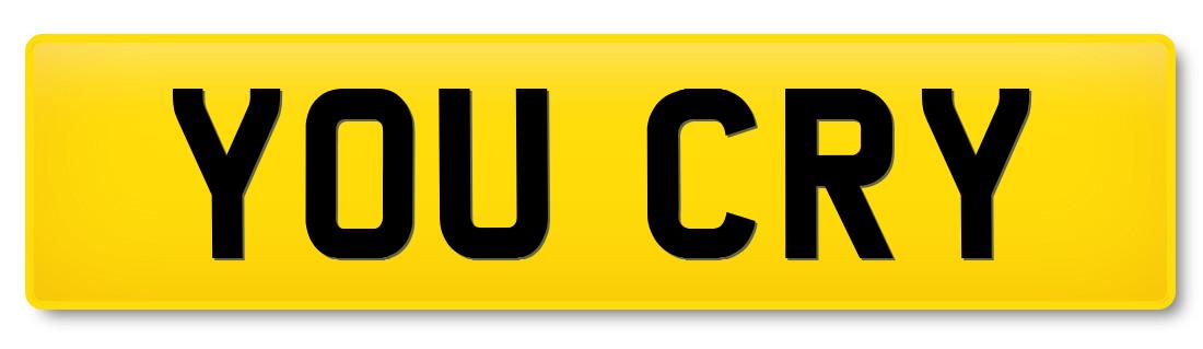 Image to represent Crystal Palace number plates